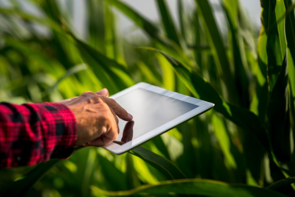 Automação no setor agrícola